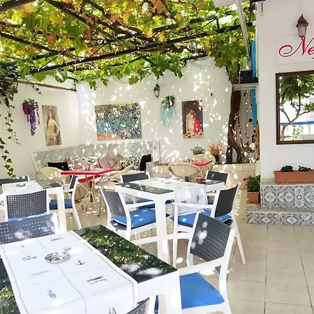 Πανσιόν Nese Otel 3*